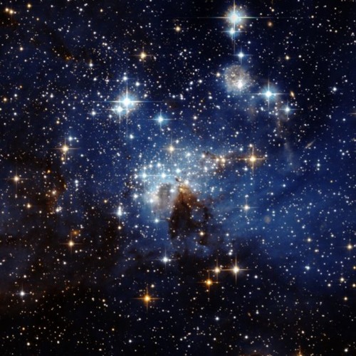 Bitch STOP FREE DOWNLOAD by Deepski Free Listening on Bitch STOP FREE DOWNLOAD by Deepski Free Listening on