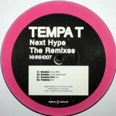 Tempa T - Next Hype (20four Remix)