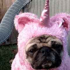 50,000 Ft. Me (Orig.)