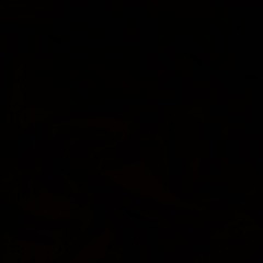 DLX - Dark Black(Free Download)