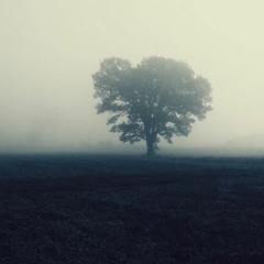 Beautiful music