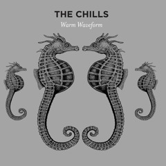 The Chills - Warm Waveform