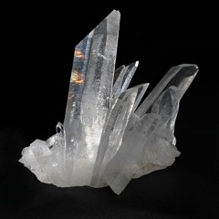 THE SQUID - QUARTZ