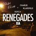X&#x20;Ambassadors Renegades&#x20;&#x28;Stray&#x20;Echo&#x20;x&#x20;Charlie&#x20;Klarsfield&#x20;Remix&#x29; Artwork