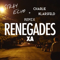 X Ambassadors - Renegades (Stray Echo x Charlie Klarsfield Remix)