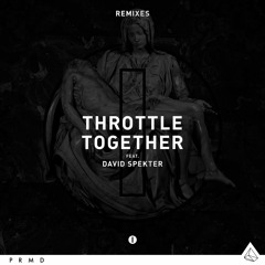 Throttle feat. David Spekter - Together (LYAR Remix)