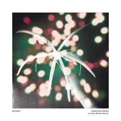 Besides (visitor: Mohua Mouli)