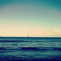 Rodrigo Amarante – Tuyo