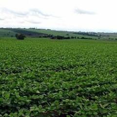 Série Código Florestal: Aplicação da Lei  - Matéria 3 – Cadastro Ambiental Rural