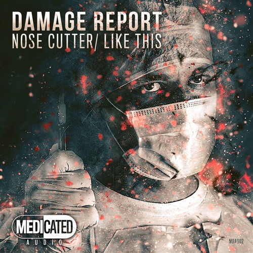 DAMAGE REPORT - NOSE CUTTER (OUT 02/11/15)