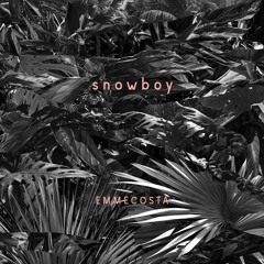 Emmecosta -Snowboy