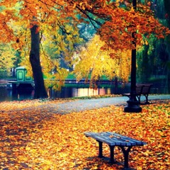 Kind Of Sounds Like Jimmy Eat World 09.22.15