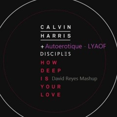 Autoerotique - LYAOF vs Calvin Harris & Disciples - How Deep Is Your Love (David Reyes Mashup)