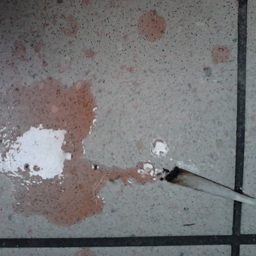 coughy_mix_09-15