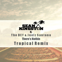 Sean Kingston Ft. The DEY & Juelz Santana - Theres Nothin (Roial Remix)[1]