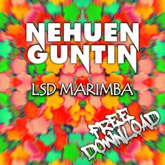 Nehuen Guntin - LSD MARIMBA (Original Mix) *FREE DOWNLOAD*