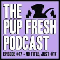 Ep. #17 - No Name. This Is Just Episode #17