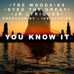 You Know It - Feat. Tre Woods, Syed The Great, K9 And JR Lyriques (Prod. By Ice Studios)