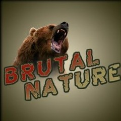 Brutal Nature Trailer