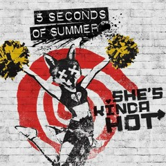 She's Kinda Hot - 5 Seconds Of Summer (Bass Cover)