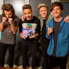 Fireproof (live) - One Direction - OTRA Indianapolis - 073115