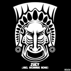 Trp - Zueey (Joel Richards Remix/ edit)