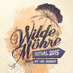 Faber b2b Daniel Amadeo - Wilde Möhre 2015