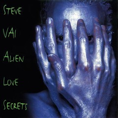 Die to Live - Steve Vai Cover
