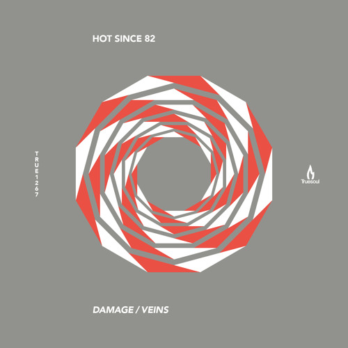 Hot Since 82 - Veins