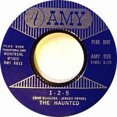 The Haunted 1 - 2-5