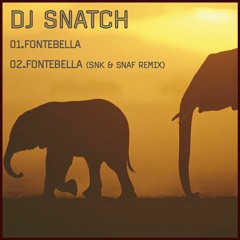 DJ Snatch - Fontebella