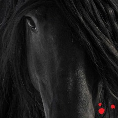 Canción “Madeja”