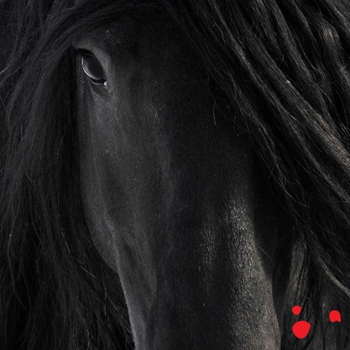 Canción “Madeja”