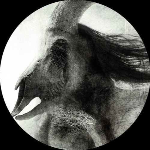Sutter Cane - Colony (NX1 Remix) SNIPPET