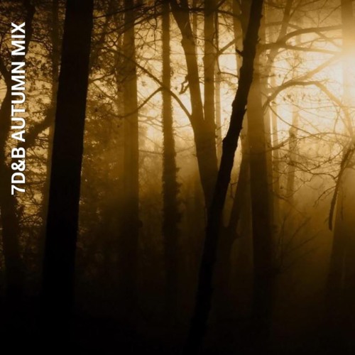 7DB - 7D&B AUTUMN MIX