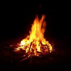 Firewood