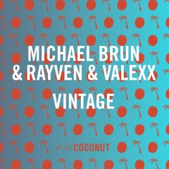 Michael Brun & Rayven & Valexx - Vintage