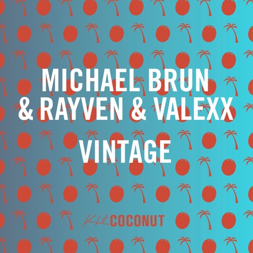 Michael Brun & Rayven & Valexx - Vintage