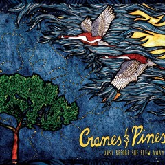 Weight Of Confidence