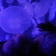 Kissing a Jellyfish