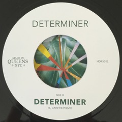 Determiner - Determiner