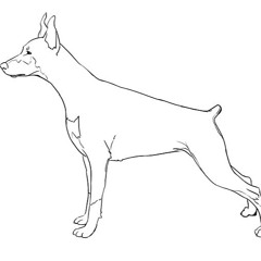 BARS CREW & Køterklanen - Køter Med Bars