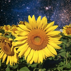 Syrian Flower Child - 4 Song Mini Musical