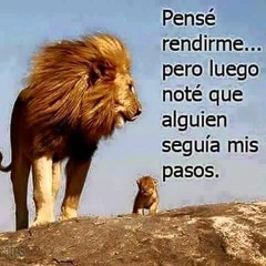 Borro Cassette Dj Juan Eduardo A Sangre Fria