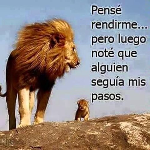 Borro Cassette Dj Juan Eduardo A Sangre Fria