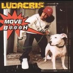 Ludacris - Move Bitch (Ebbe Funk Remix)
