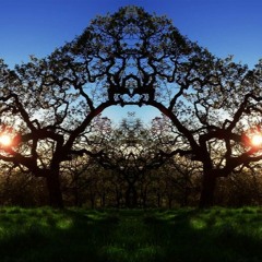Spiritualis Natura