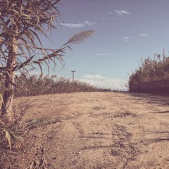 Traveller Vol.5 (Live At Scorpios Mykonos)