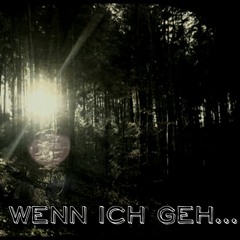 Reeco & Psycomatic feat. Ashemi - Wenn ich geh