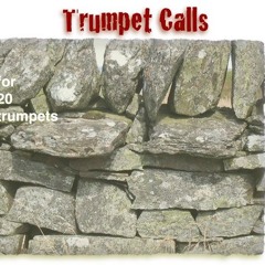Trumpet Calls, for 20 C trumpets in five separated groups